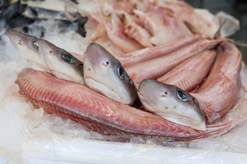 Galeus or Mustelus spp sharks at the greek fish market.