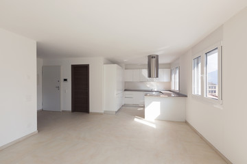 Fototapeta na wymiar Modern apartment, empty spaces, kitchen