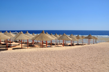 Hotel beach near the coral reef, Egypt, Sharm El Sheikh