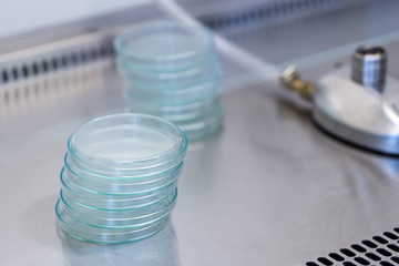  Research microbiology in laboratory.