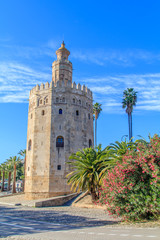 Fototapeta na wymiar Vista da Torre do Ouro em Sevilha Espanha