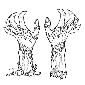Pair of zombie hands rising from the ground and torn apart. lifelike depiction of the rotting flash with ragged skin, protruding bones and cracked nails. linear drawing isolated on white background