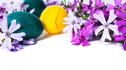 close-up of colorful easter eggs and phlox flowers on white background with copy space. border template, easter greeting and holiday card.