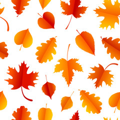 Vector seamless pattern with colorful autumn leaves