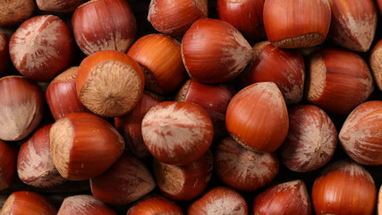 hazelnut