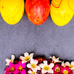 close-up of colorful easter eggs and saxifraga bryoides or mossy saxifrage flowers on stone background with copy space. border template, easter greeting and holiday card.