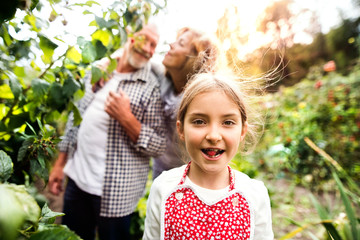 Senior couple with grandaughter gardening in the backyard garden