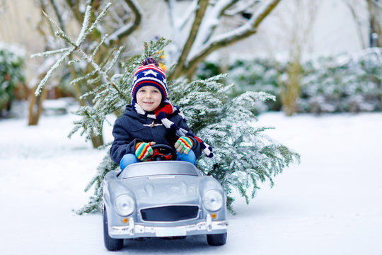 Funny Little Smiling Kid Boy Driving Toy Car With Christmas Tree.