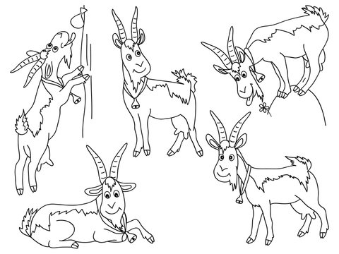 Vector Set of Cute Cartoons Goats