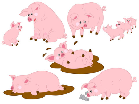 Vector Set of Cute Cartoon Pigs