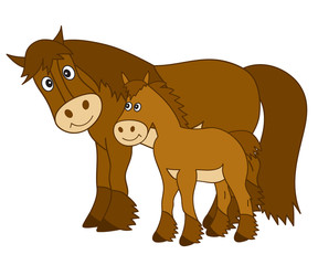Vector Cute Cartoon Horse with Foal