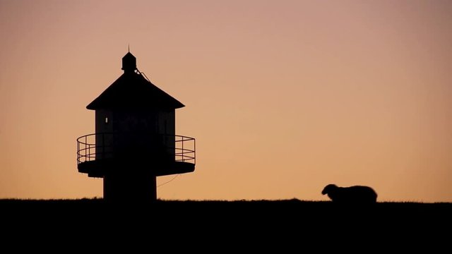 Schaf läuft von rechts nach links durchs Bild auf Leuchtturm zu, Abendrot, Video