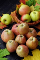 Delicious fresh green apples and autumn leaves