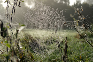 Web 2