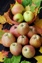 Delicious fresh green apples and autumn leaves 
