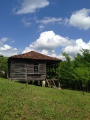 Georgian house Oda