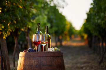 Wine tasting in the vineyard. Two glasses of white and red wine with bottles at sunset. - 176994766