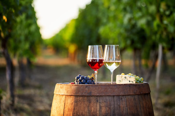 Deux verres de vin avec de la nourriture sur un tonneau dans un vignoble