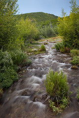 Fototapeta na wymiar Small flowing stream at Cascade Springs National Park, American Fork Canyon, Utah 