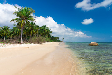 beach and tropical sea