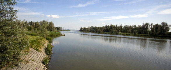 Hollandse biesbosch