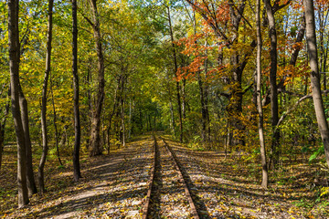 Railroad through the Fall Forest in autumn