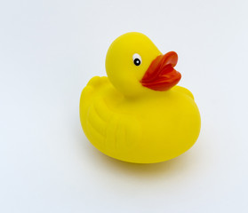 Yellow rubber duck on White Background