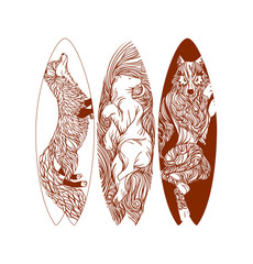 Surfboard design collection. Vector illustration.