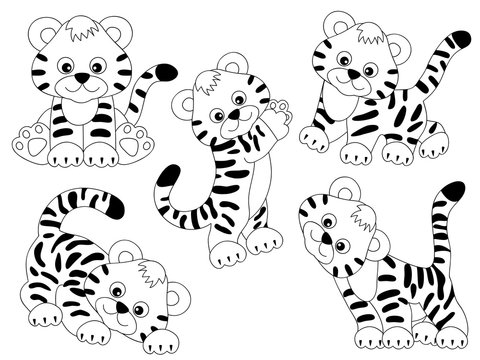 Vector Set of Cute Tigers