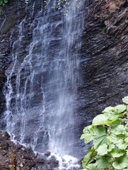  waterfall Zhenetskyi Huk. Carpathian mountain. Ukraine.