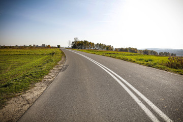 autumn road 