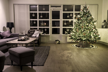 Christmas tree in living room - 177002324