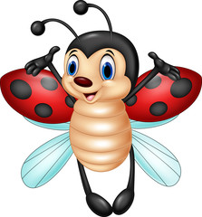 Naklejka premium Cartoon ladybug flying isolated on white background