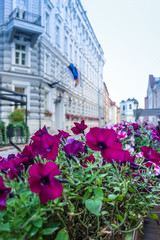Fototapeta na wymiar street view of downtown in Tallinn city, Estonia