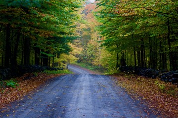 Obraz premium View on autumn road, colourful trees and leaves