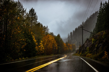 a wet road in the rain