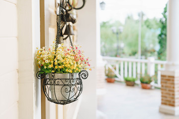 hanging flower pot
