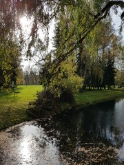 Staw w parku © michalsen