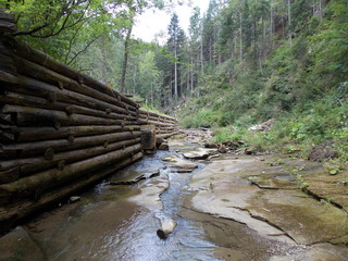 Obraz premium Landscape of the river in Carpathian mountain