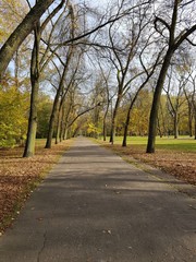 Fototapeta na wymiar Jesień w parku