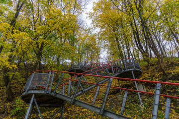 metal stair in autumn forest