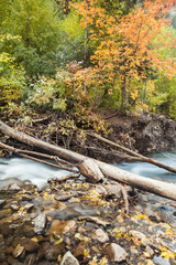 Soft water and fall colors on the American Fork Canyon River
