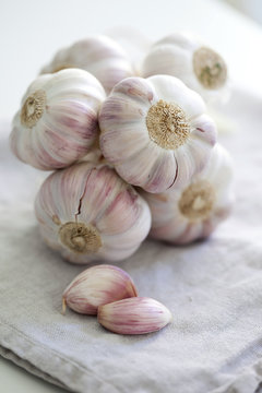 Garlic bulbs