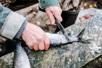 Fisherman cleaning fish on wooden board outdoors