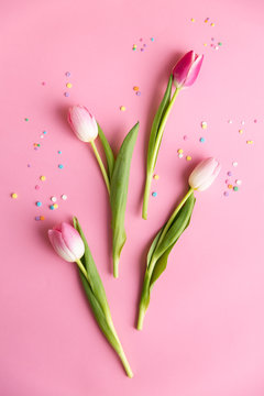 Tulips on pink