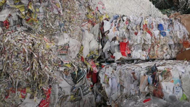 Waste paper. Processing of secondary resources. Paper recycling. Large enterprise. Large bales of waste paper are compressed and ready for processing. Environment protection concept.