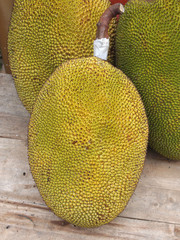 Jack fruit which have yet to be picked.