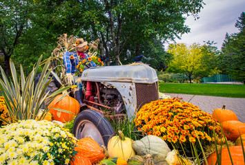 Halloween display and Scarecrow
