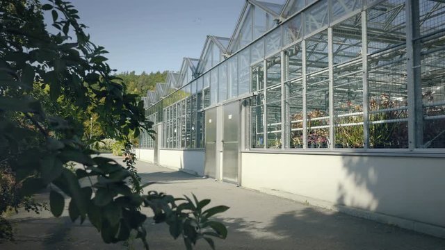 Big greenhouse with glass walls, foundations, gable roof, garden bed. 4k horticultural conservatory for growing vegetable and flowers. Classic cultivate greenhouse gardening. Sunny day.