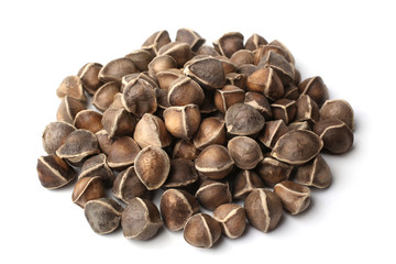 Moringa oleifera seeds